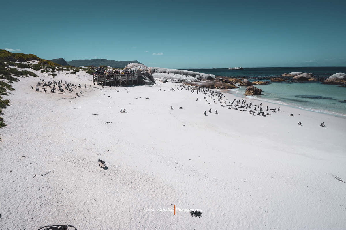 Cape Town