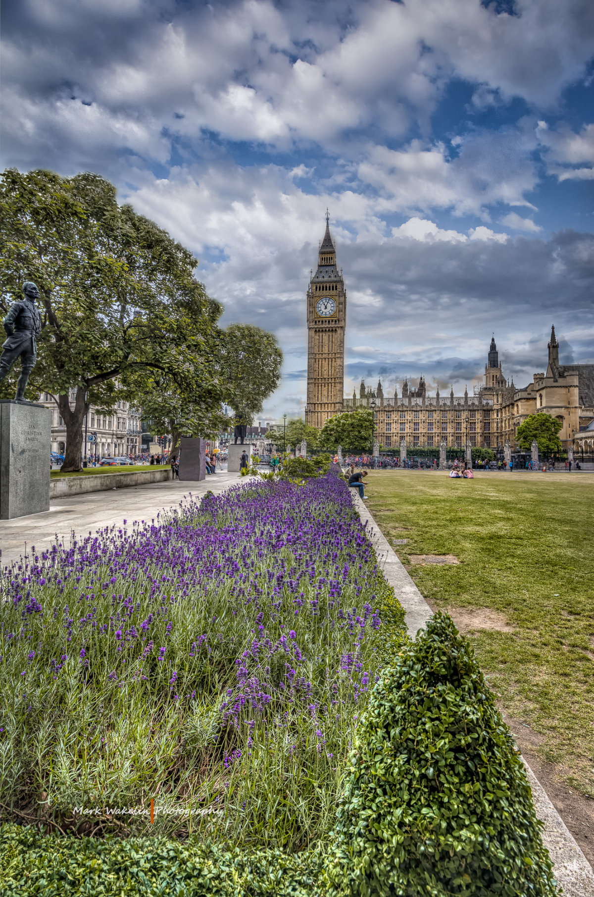 Big Ben and the Houses of Parliament behind a garden with purple flowers and green bushes under a cloudy sky in London.