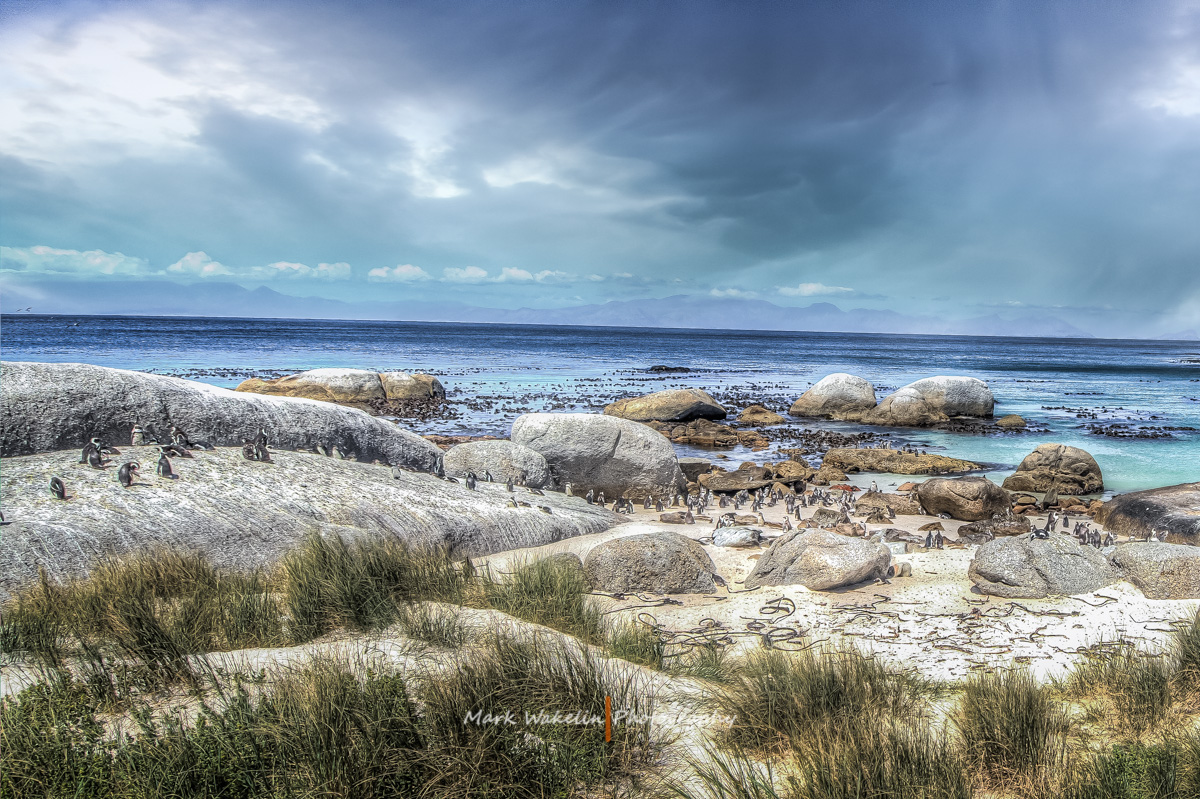 Cape Town
