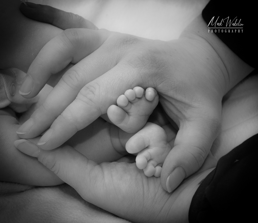 Black and white photo of adult hands gently holding tiny baby feet.