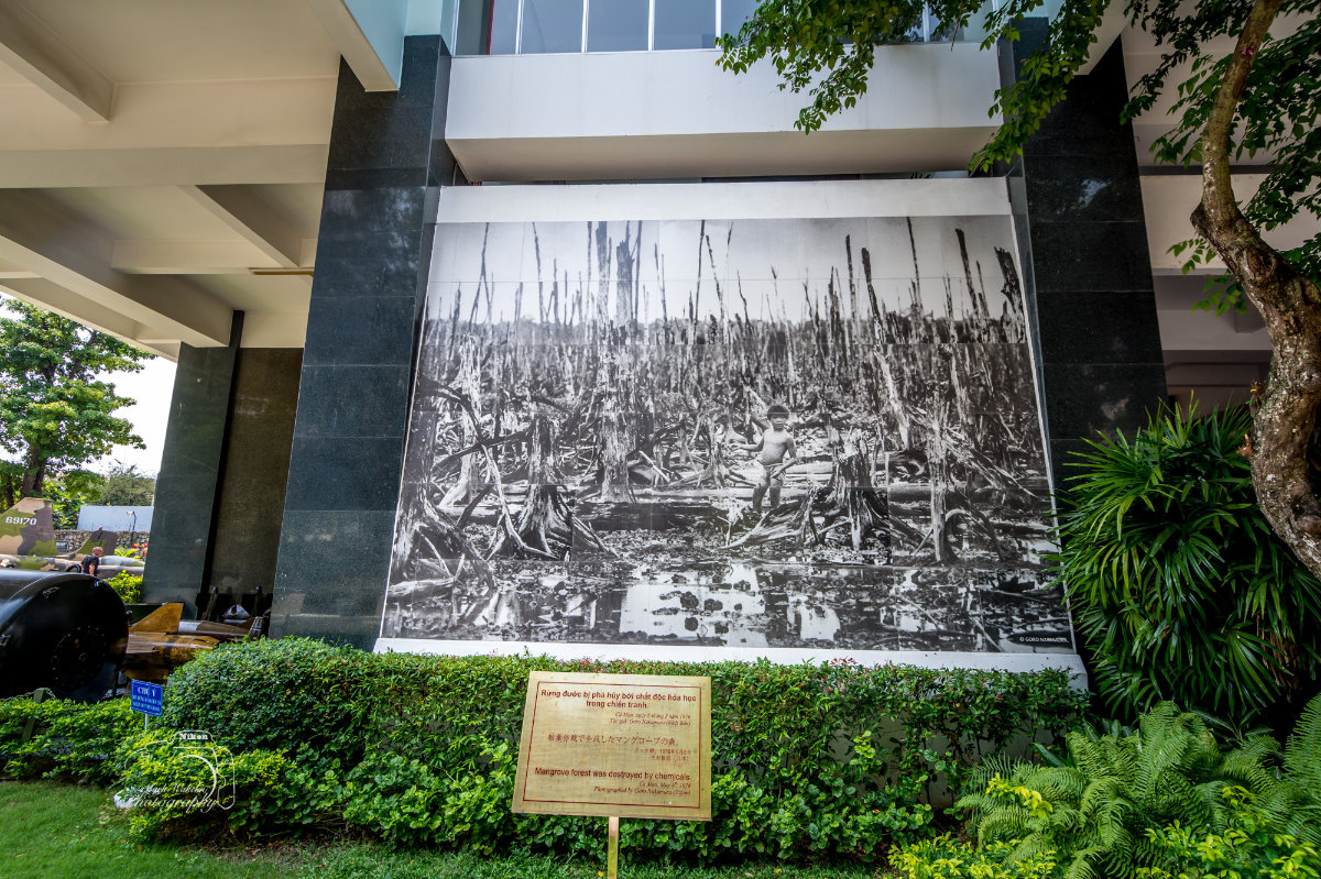 Large black and white photo of a child walking through a devastated mangrove forest, displayed on an outdoor wall with a nearby sign explaining the destruction by chemicals.
