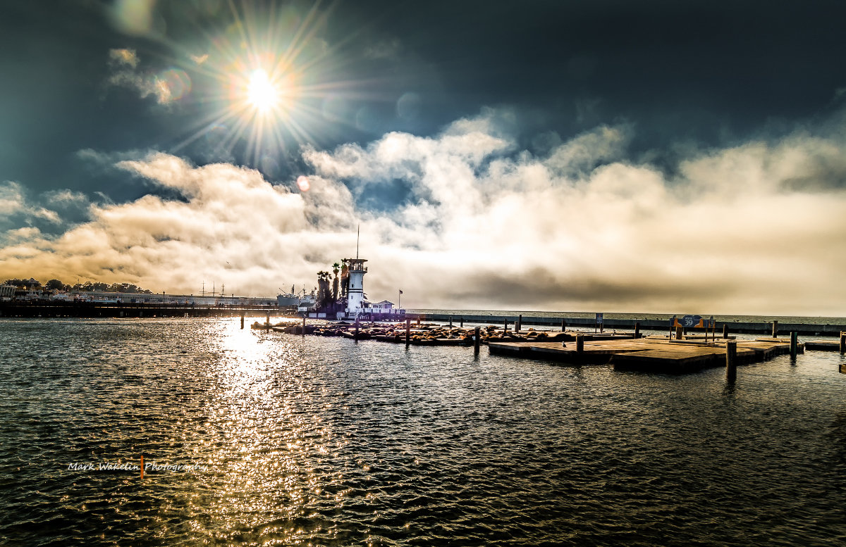 Bright sun shining over a pier with seals resting on floating platforms in calm water under a cloudy sky.